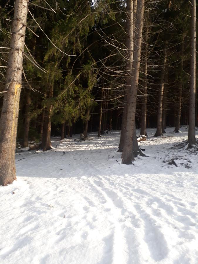 Chata Adavy Liptovský Ján Exterior foto