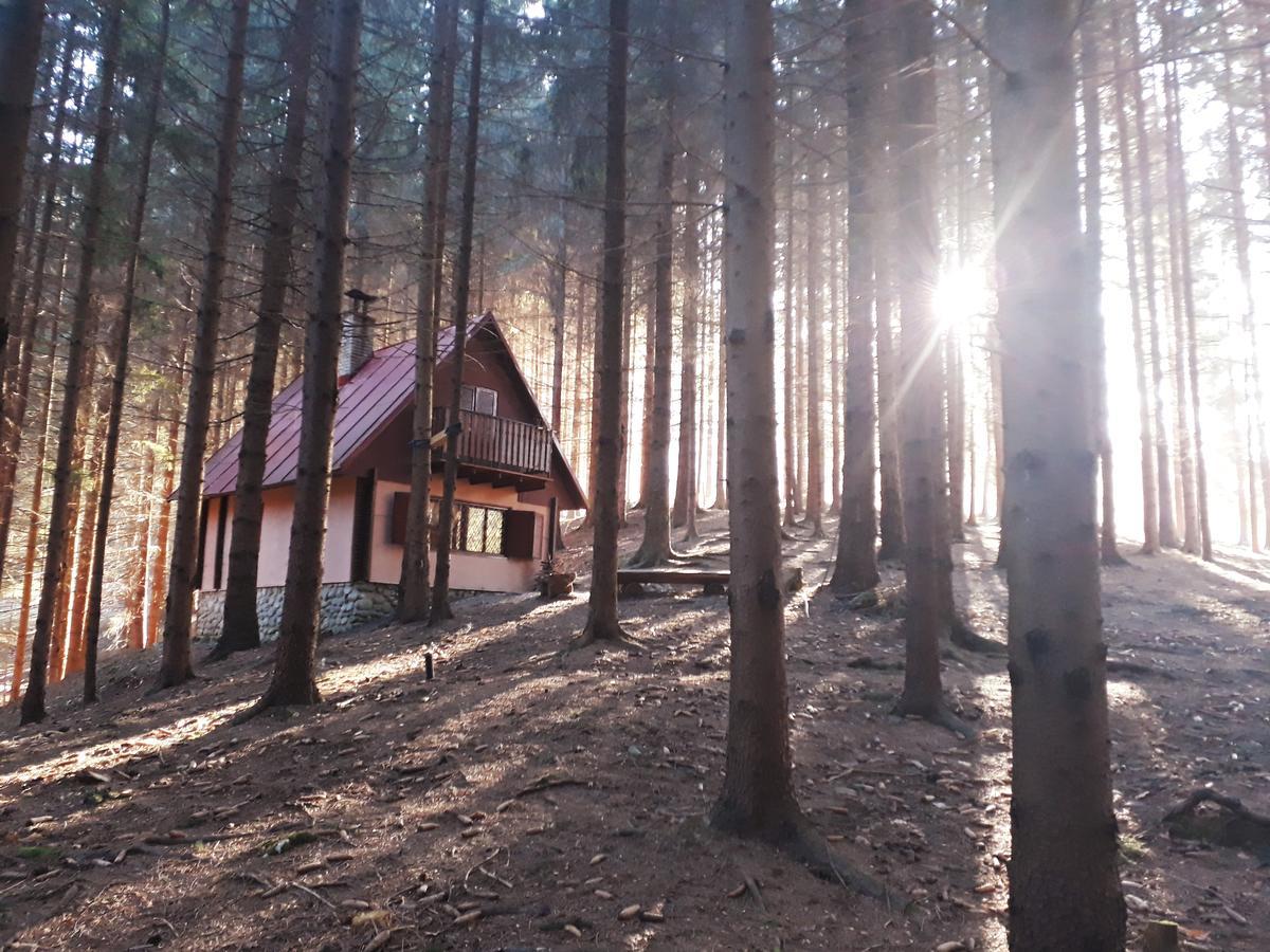 Chata Adavy Liptovský Ján Exterior foto