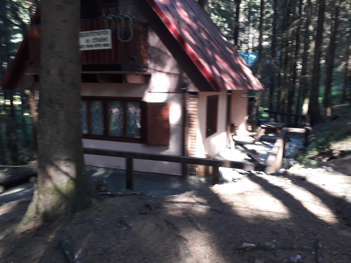 Chata Adavy Liptovský Ján Exterior foto