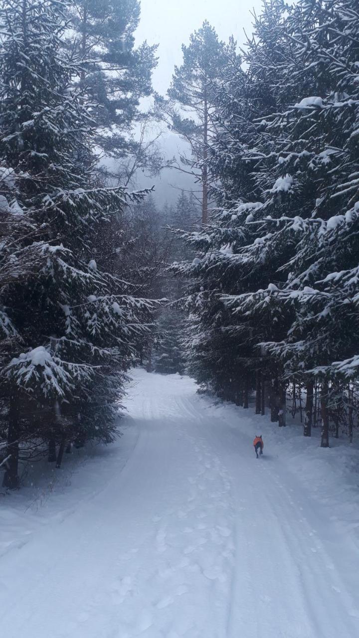 Chata Adavy Liptovský Ján Exterior foto